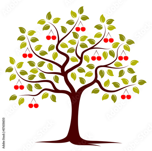cherry tree