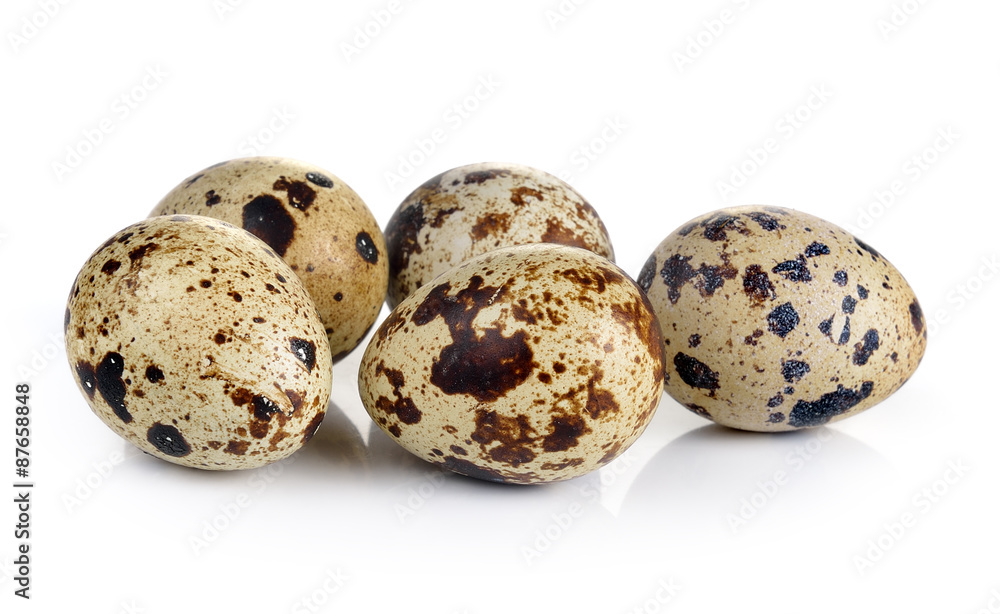Quail eggs are isolated on a white background Quail eggs are isolated on a white background
