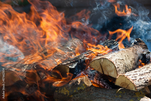 Flames of a campfire close up
