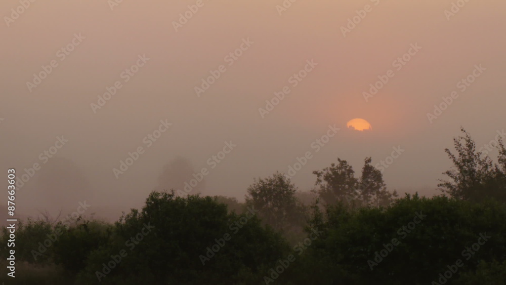 Time lapse shot of the surrounding forest in the morning moving fog and with the sunrise in the horizon
Time lapse shot of the surrounding forest in the morning moving fog and with the sunrise in the horizon