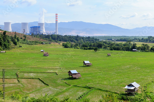 rice farm near power plant