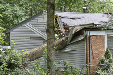 Keuken achterwand Onweer Eik verplettert huis na storm  © WideAwake