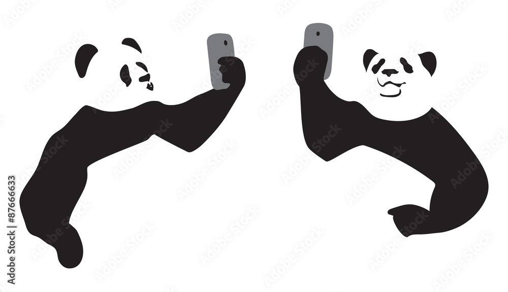 Fototapeta premium Panda taking a selfie