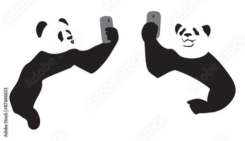 Panda taking a selfie