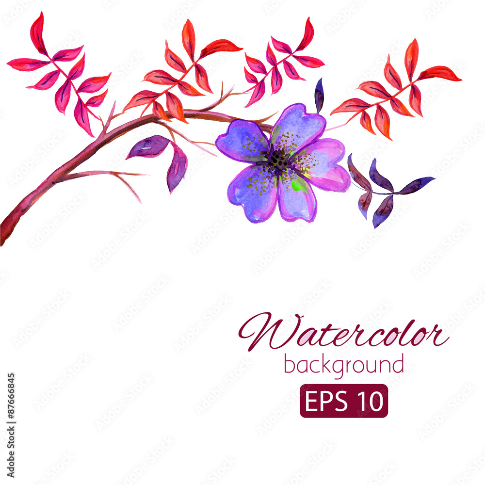 Obraz premium Watercolor card with decorative colorful flowers and copy space