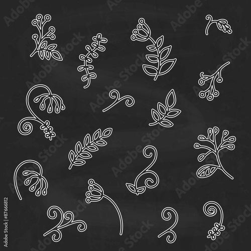 Hand drawn abstract floral elements, sketch style