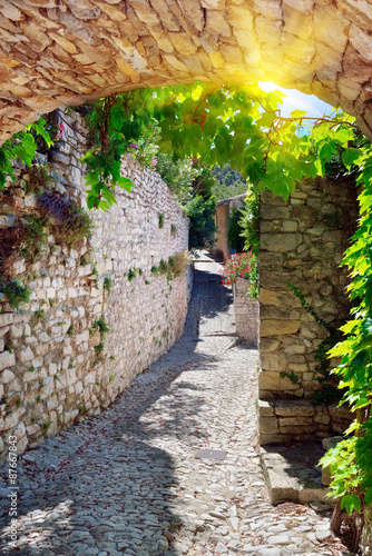 Fototapeta Naklejka Na Ścianę i Meble -  Provence village