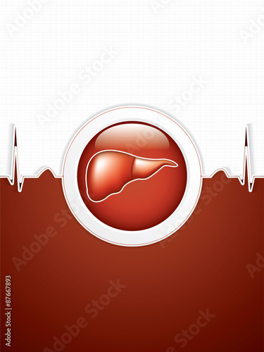Liver