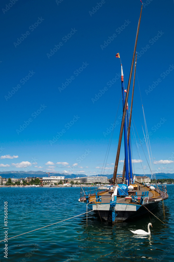 View of Geneva Lake with yacht and swan in Geneva Harbor,Switzerland
