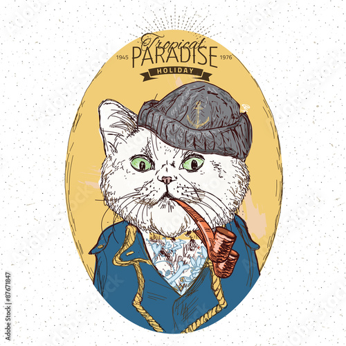 Illustration of pirate  cat a on blue background in vector