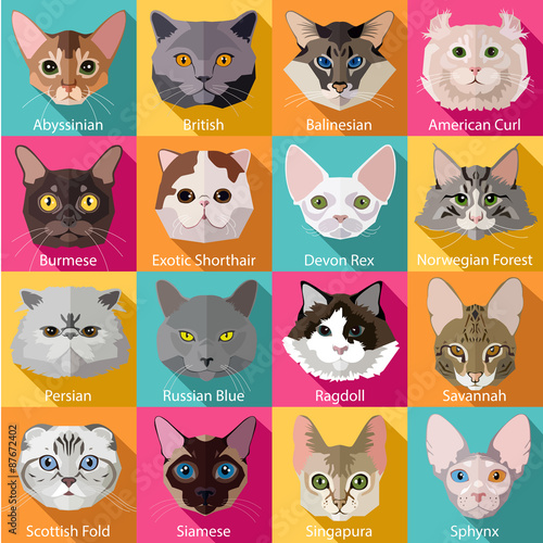 Set of flat popular breeds of cats icons. 