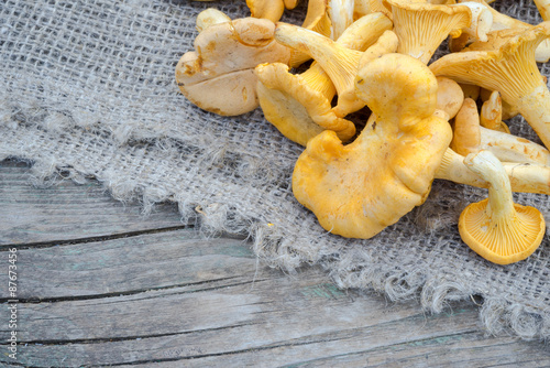 Cantharellus cibarius, commonly known as the chanterelle, golden chanterelle or girolle, is a fungus. Mushrooms on wooden and sackcloth background
