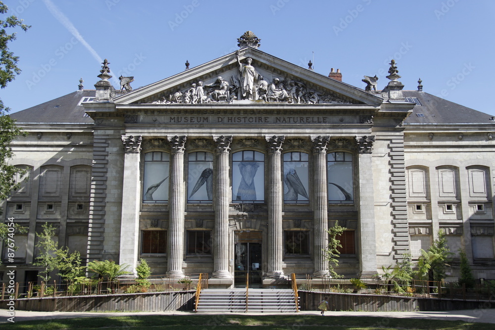 Musée d'histoire naturelle à Nantes