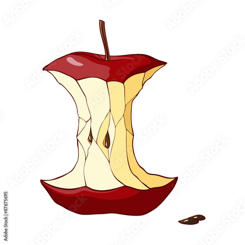 Red apple core. Vector illustration.
