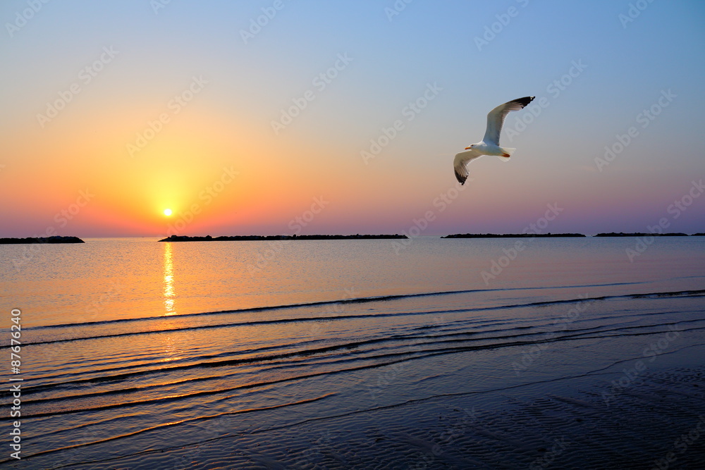 Fototapeta premium Un gabbiano vola all'alba lunga la riviera romagnola vicino Cesenatico