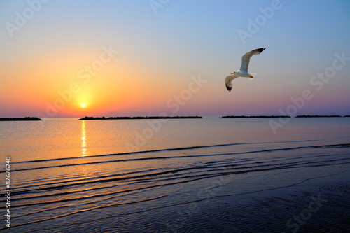 Un gabbiano vola all'alba lunga la riviera romagnola vicino Cesenatico