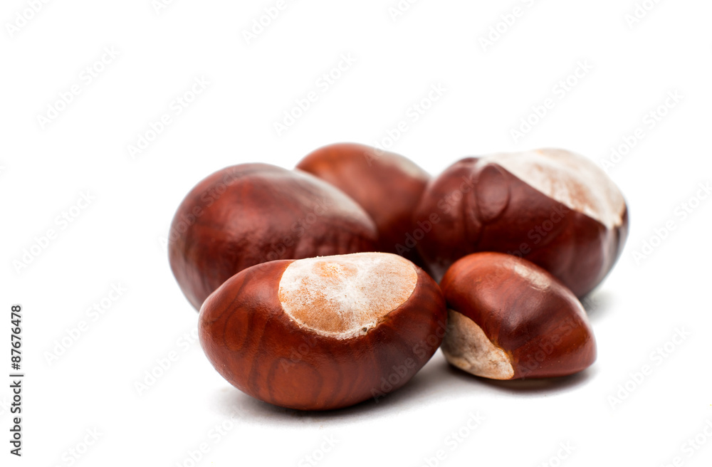 fruit chestnut fruit chestnut