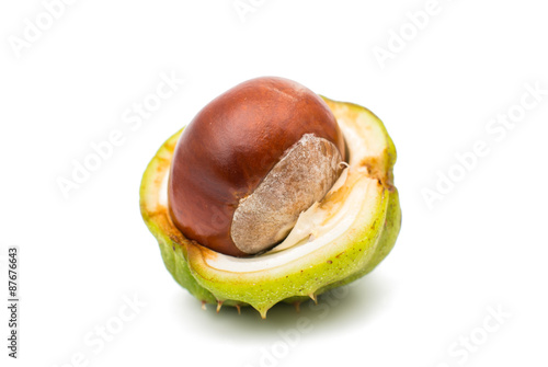 fruit chestnut