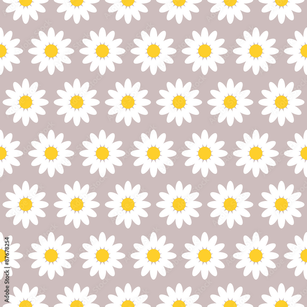chamomile chamomile