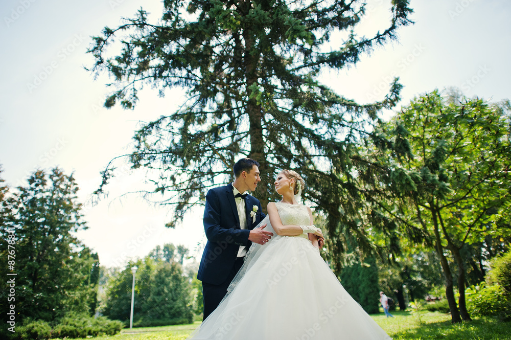 exciting elegant wedding couple walking at park in love exciting elegant wedding couple walking at park in love