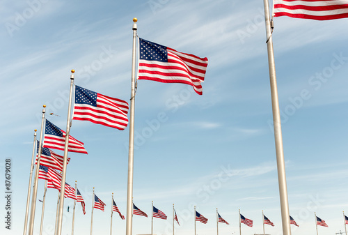 American flags on the blue sky in Washington DC