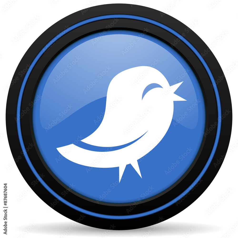 twitter icon twitter icon
