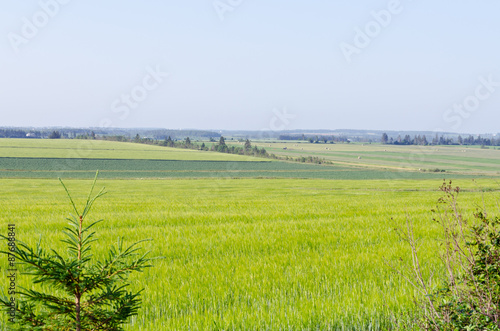 View of fields and forests