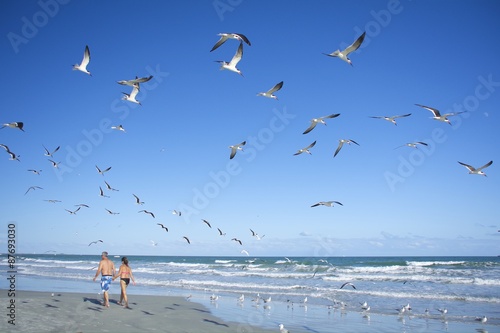 Couple are walking on beach and seagulls flying with blue sky. 