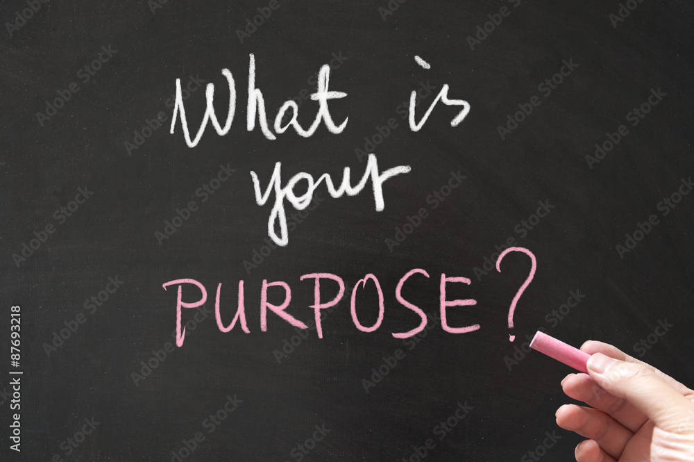 What is your purpose What is your purpose
