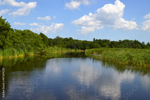 Fototapeta Naklejka Na Ścianę i Meble -  Southern Swamps