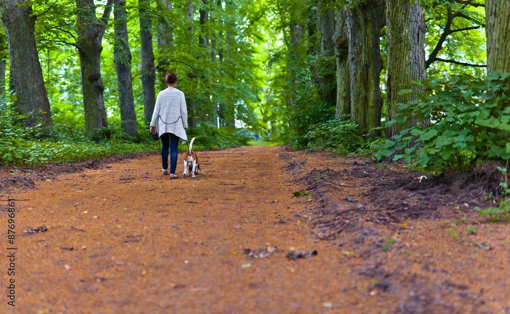 Fototapeta premium woman with beagle walking in the park