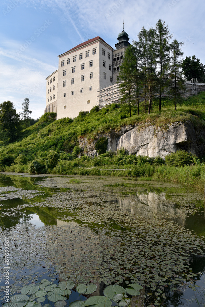 Fototapeta premium Pieskowa Skala catle in Poland