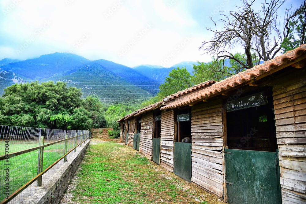 Stable horses in the countryside Greece