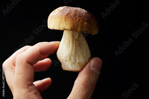 Cep in the hand