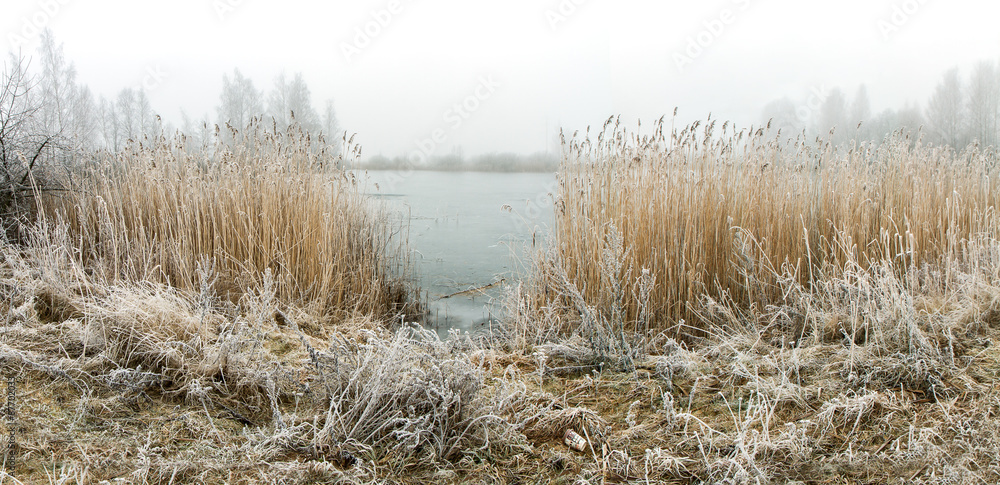Early winter morning at the lake panorama Early winter morning at the lake panorama