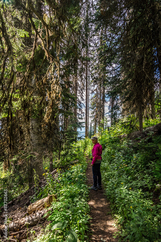 A woman hiking through the forest on Tod Mountain in the Sushwap Highlands and part of the Sun Peaks ski resort in central British Columbia photo