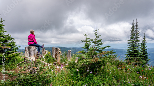 A woman resting on a tree stump during a hike to the top of Tod Mountain in the Sushwap Highlands and part of the Sun Peaks ski resort in central British Columbia photo