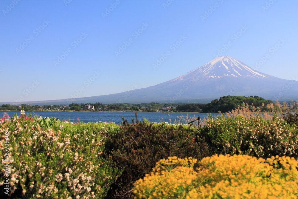 Fototapeta premium Mountain Fuji in Japan Lake Kawaguchi