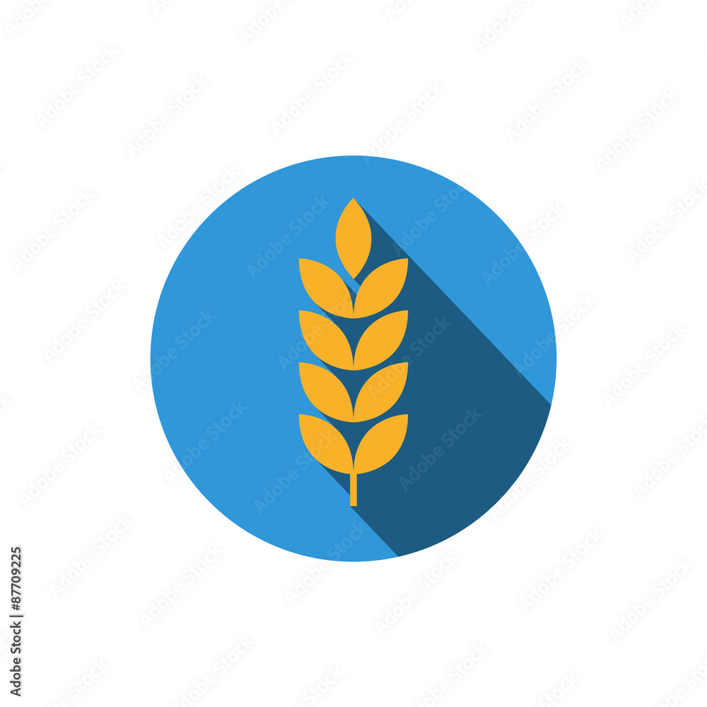 gluten gluten