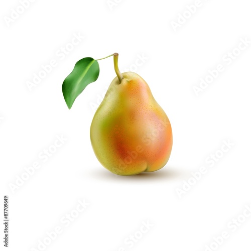 Pear realistic illustration.