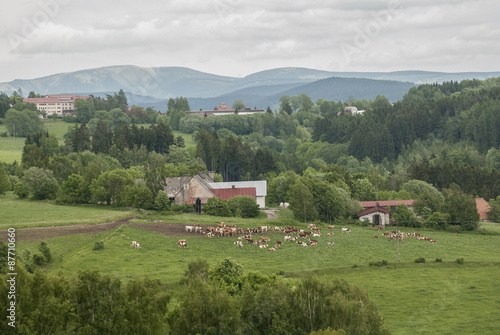 Wallpaper Mural On the back of Giant mountains Torontodigital.ca
