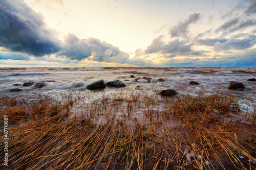 The storm in the Baltic Sea and bulrush