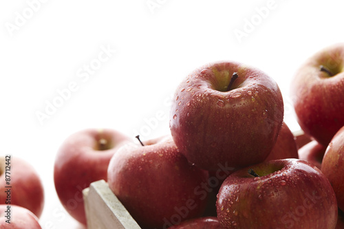 apples photo