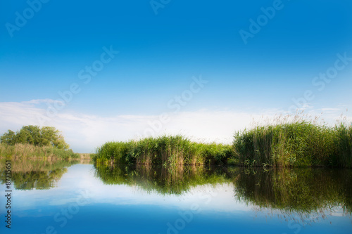 River landscape in summer sunny day