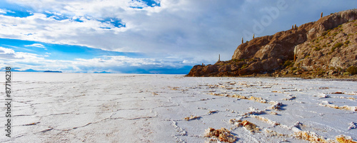 Incahuasi island in Salar de Uyuni, Bolivia photo