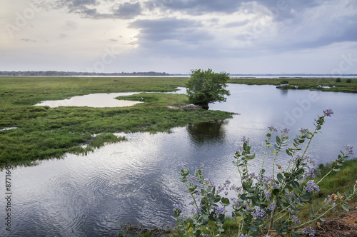 Arugam bay lagoon landscape, Sri Lanka photo