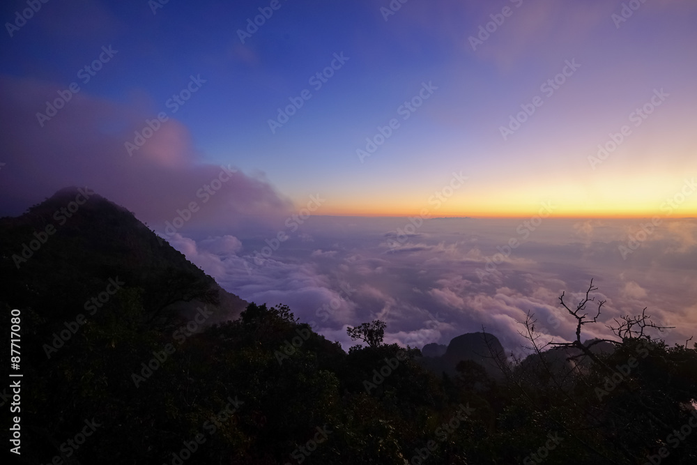 Naklejka premium Horizon and the mist