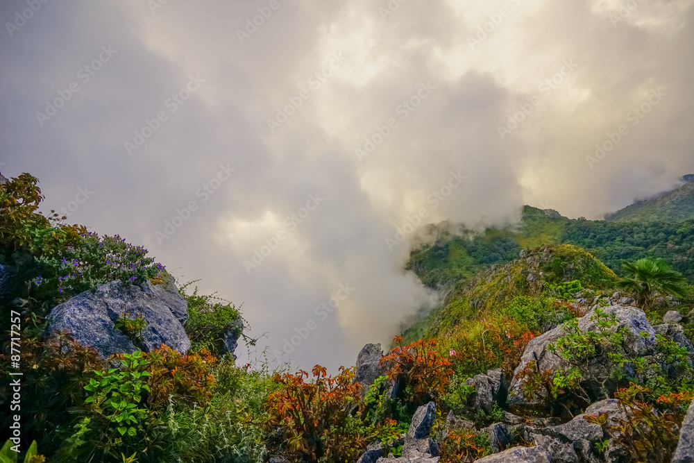 Mist floating high above the valley Mist floating high above the valley