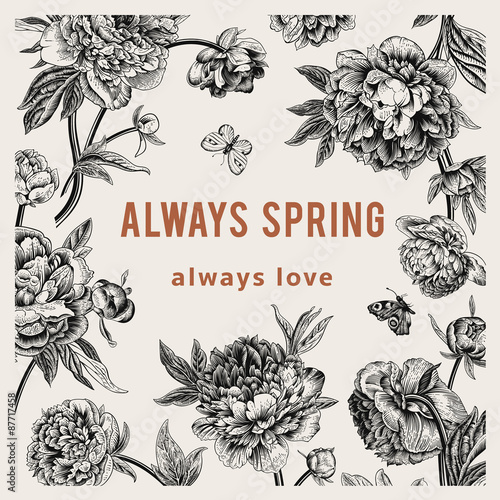 Fototapeta Naklejka Na Ścianę i Meble -  Vintage vector floral card. Peonies. Always spring
