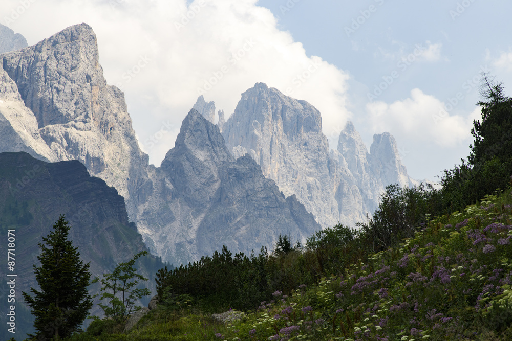 Fototapeta premium San Martino di Castrozza - Trentino